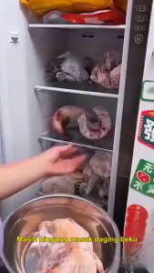 Portable defrosting Tray UV sterilizer pencair daging Alat pencair makanan baki pencairan daging defroster peralatan dapur caps