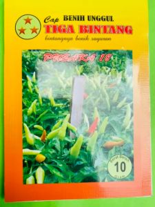 Benih Unggul Cabe NEW PUSAKA 18 tipe merunduk semi tegak dari Cap Tiga Bintang