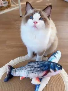 Simulable Fish Cat Toy Cat  Solo Play Toy Teaser Hugging Batting Wrestling Toy with Catnip