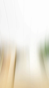 Susu Kedelai Bubuk Nutrisi Whey Protein Murni 1 kg 1000 gr Fitness