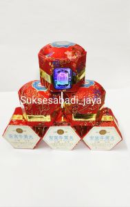 SHIZHEN ANGONG NIU HUANG WAN /SHIZHEN ANKUNG/PENGOBATAN & MENCEGAH STROKE