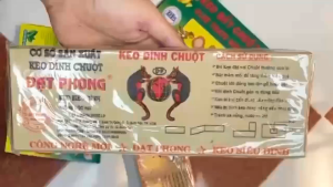 Keo dính chuột keo bẫy chuột Đạt Phong