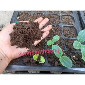 3kg Phân Trùn Quế Còn Độ ẩm Trộn Đất Trồng Cây Rau Củ Quả Cây Cảnh