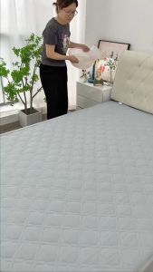 DREAMLUX Ice Silk Cooling Waterproof Mattress Protector 100% Waterproof Deep Pocket SK/K/Q/SS/S
