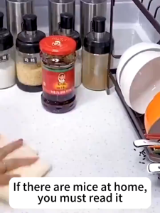 【BUY 1 TAKE 2】Rat Repellent Spray Mouse Repellent 500ml Powerful for Home Kitchen Car Engine Pipes Safe Rodent Repeller Can Repel Mice Cockroaches Mosquitoes Geckos with 6 mouths warranty support COD