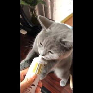 Gel dinh dưỡng thú cưng DORRIKEY 120gr chăm sóc toàn diện cho chó mèo