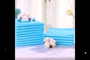 จัดส่งที่รวดเร็ว! แผ่นปัสสาวะสัตว์เลี้ยง แผ่นปัสสาวะสุนัข แผ่นปัสสาวะแมว เพิ่มกาวถ่านไม้ไผ่หนาเพื่อป้องกันกลิ่นดูดซับได้ดีและช่วยฝึกการขับถ่าย