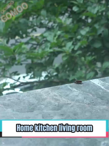 【 Buy 2 Free 1】30g Cockroach Killer Roach Traps Gel Safe Home Use Powerful Seduction Cockroach Bait Repellent