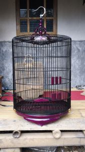 Sangkar MB Tebok ceper kayu Rapat Atas