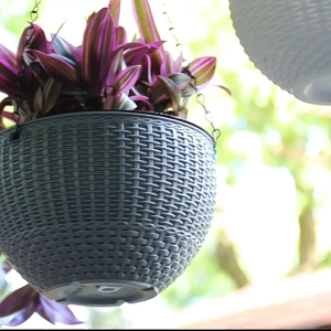 Plastic Hanging Flower Pots Hanging Green Plant Pots Ornamental Flowers Pasu Bunga Gantung Beautify Your Home Corners