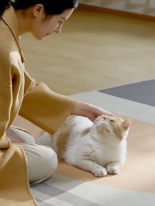 Sticky Hair Roller: A Comprehensive Guide