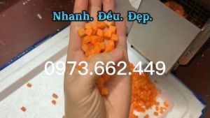 Máy thái hoa quả trái cây thành hạt lựu thái củ quả hạt lựu 300kg/h