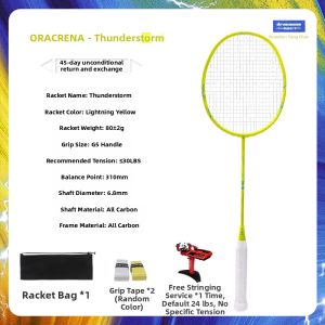 Dracaena | Thunderstorm Offensive Durable Badminton Racket