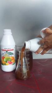 Chế Phẩm Trừ Bệnh Héo Xanh Vàng Lá Thối Cổ Rễ - PSEUDO BACILLUS - Chai 1 Lít