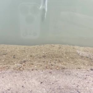 15pcs of Buoyant Lures for Fishing Carp As Auxiliary Tools