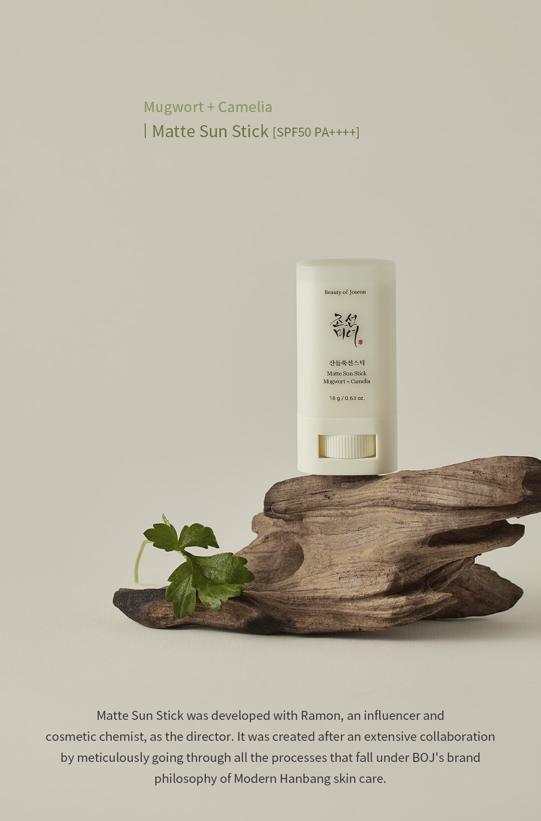 Beauty of Joseon Matte Sun Stick SPF 50 PA++++ (18g)_voghion.com