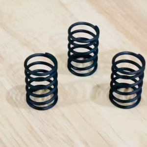 INDOBASE Spring Per Piston Jet Cleaner 18.5x28.5mm Spare Part Pompa 1Pcs Hitam