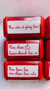 Khắc con dấu nhận xét tiểu học + logo khắc nội dung theo yêu cầu Dstamp