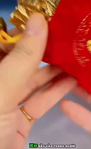 Combo 2 Đồng xu âm dương phong thủy tiền xu Ngũ Đế chiêu tài hút lộc