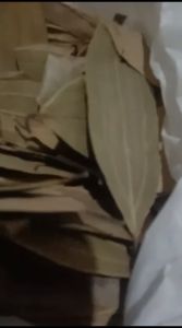 Daun Salam India Kering 1 kg (TEJ PATTA)