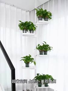 DIHUANTUO | Floor-to-ceiling Multi-layer Simple Flower Rack