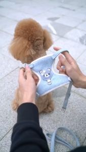 เชือกลากเสื้อกั๊กแมว เชือกลากสุนัข สายรัดอุปกรณ์สัตว์เลี้ยงพิเศษแบบแยกส่วนขนาดเล็ก