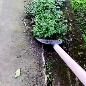 Sekop Pembersih Taman/Sekop Datar Baja/Sekop Tanah Penyiangan/Mangan Sekop Datar/Tajam Alat Sekop/Garukan Kotoran Hewan/Kokoh Tahan Lama