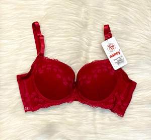 Áo Lót Nancy 2268 Ren Hoa Mút Dày Form Đẹp Bản To Che Khuyết Điểm Mẫu Mới 2024