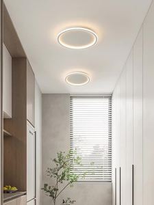 DGY | Minimalist Creative Ceiling Light 2026 Model