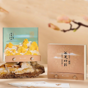 3D Creative Daily Tear-off Calendar 2027