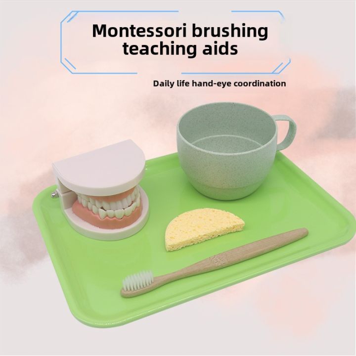 Toothwashing Racket Montessori Teaching Aids 2 Years Old Kids Brushing Teeth Washing Set ...