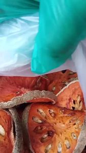 มะตูมหั่นแว่น ตากแห้ง อบแห้ง คัดพิเศษ ออร์แกนิค 100% ชิ้นสวย สดใหม่ ปี2566