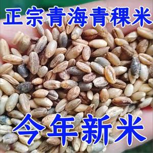Fresh Peel-off Highland Barley Whole Grain