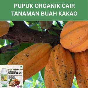 Pupuk Buah Kakao 250 ML /Pupuk Booster Kakao Cepat Berbuah Lebat/Pupuk Cair Kakao