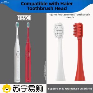 Soft Bristle Electric Toothbrush Replacement Head Compatible with Haier HB5C1-10 HB5C1-11 by Liuchushou for Oral Care Cleaning