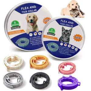 PET COLLAR ANTI FLEA CAT AND DOG kolar penjagaan badan kucing dan anjing anti kutu anti gatal