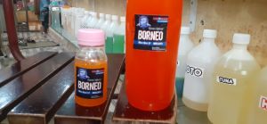 Patin.Lele dan Bawal 06  / Strong X