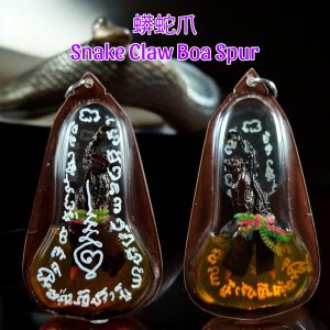 Snake King Claw 蟒蛇爪 Boa Spur pendant