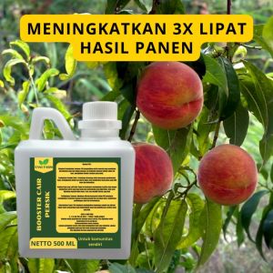 Pupuk Pelebat Persik / Pupuk Buah Persik / Pupuk Booster Persik / Pupuk Persik