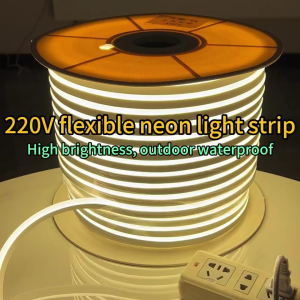 220VLED light belt accessories dedicated power plug