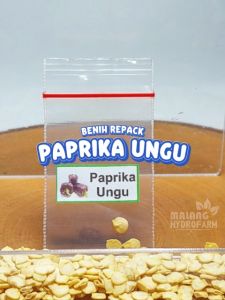 Benih Paprika Unggulan & Biji Bibit Hydroponik