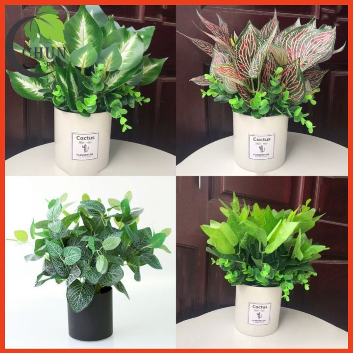 Chậu Cây Để Bàn Cây Giả Decor Cao 25-50cm Nhiều Mẫu Cắm Sẵn Trang Trí ...
