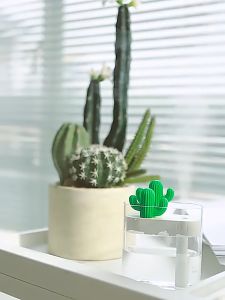Humidifier Diffuser Kaktus Transparan 160ML dengan Lampu Warna USB Ion Negatif Atomizer Ultrasonik Cocok untuk Kantor