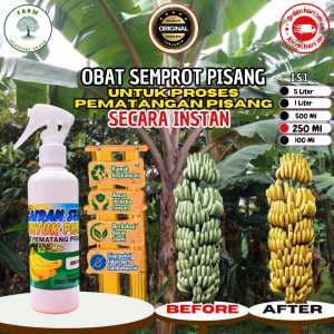 Obat/ Karbit Cairan Pematang Buah Pisang Mangga Nanas dll. ukuran 250ml