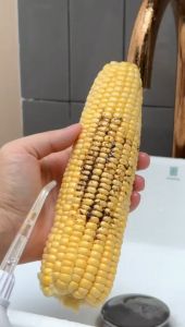 KLAR Tooth Flosser Aquapulse - Water Flosser Untuk Membersihkan Sela Gigi dan Karang Gigi Secara Sempurna - Cocok Untuk Pengguna Behel atau Kawat Gigi Alat Pembersih Gigi Bagi Pemakai Behel - Lazada