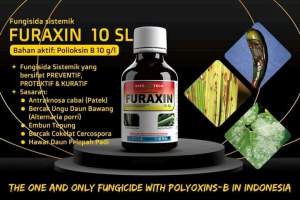 FURAXIN POLIOXIN B 10 g/l Fungisida.cegah dan atasi Patek Cabe / Cabai