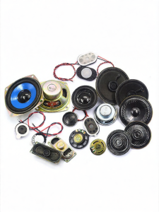 Risym | Full Frequency DIY Loudspeaker