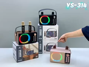 No.8 shop RD-313New wooden portable K song Bluetooth audio RGB light dual microphone speaker microphone in one machine