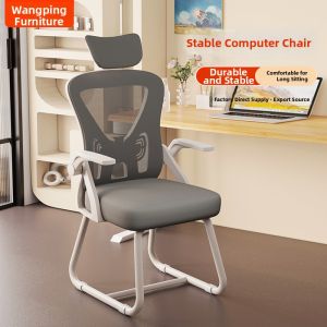 Study Ergonomic Chair for Students Long Sitting Writing and Learning Activities