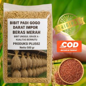 Shop Mall Bibit Padi Gogo Darat Impor Malaysia - Benih Unggul Beras Merah